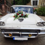 Ford Custom 300